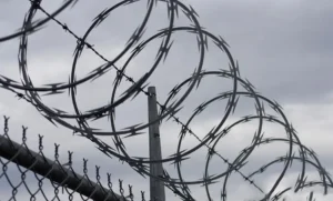 razor wire